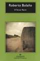 El Tercer Reich, Roberto Bolano 
