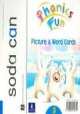 Phonics Fun 3 Word & Picture Cards, Jean Bunton 