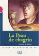 Lecture Mise en scene 3. La Peau De Chardin, Favret C. 