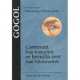 Comment Ivan Ivanovitch se brouilla avec Ivan Nikiforovitch, Nikolaj Gogol' 