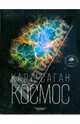 Космос: Эволюция Вселенной, жизни и цивилизации, Саган Карл 