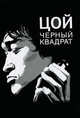 Цой. Черный квадрат, Александр Долгов 
