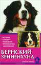 Бернский зенненхунд. История. Стандарты. Разведение. Профилактика заболеваний, Федоровичева Евгения Евгеньевна 