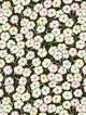 Liberty Spring Florals Address Book - Small, 