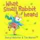 What Small Rabbit Heard, Sheryl Webster 