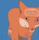 Die Geschichte vom Fuchs, der den Verstand verlor. Baltscheit, Martin Baltscheit 