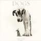 Календарь 2013 (на скрепке). Dogs, 