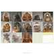 Календарь 2013 (на скрепке). Monkey Portraits, 