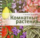 Комнатные растения. Цветы от А до Я., Князева Татьяна Петровна, Князева Дарья Викторовна 