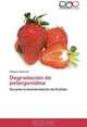 Degradacion de pelargonidina: Durante la deshidratacion de frutillas (Spanish Edition), Gaspar Venencio 