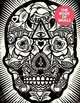 The Book of Skulls, Dowling Faye 
