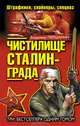 Чистилище Сталинграда. Штрафники, снайперы, спецназ (сборник), Першанин Владимир Николаевич 