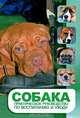 Собака. Практическое руководство по воспитанию и уходу, Баффам Д., Браннер Д., Кеппл П., Стэлл С. 
