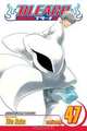 Bleach, Vol. 47, Tite Kubo 