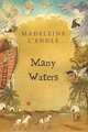 Time Quintet 4. Many Waters, L'Engle, Madeleine 