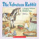 Velveteen Rabbit (PB) illustr. ***, Bianco Margery Williams 