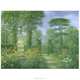 Garden Painters: Contemporary Artists, Ariel Luke 