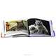 Ultimate Guide to Cat Breeds, Louisa Somerville 