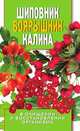 Шиповник, боярышник, калина в очищении и восстановлении организма, Нестерова Алла Викторовна 