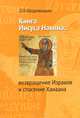 Книга Иисуса Навина. Возвращение Израиля и спасение Ханаана. Предварительное издание, Щедровицкий Дмитрий Владимирович 