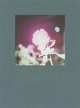 Rinko Kawauchi: Illuminance, David Chandler, Rinko Kawauchi 