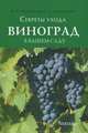 Секреты ухода. Виноград в вашем саду., Малиновская Марина Николаевна, Калашникова Елена Анатольевна 