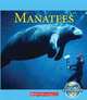 Manatees (Nature