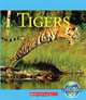 Tigers (Nature