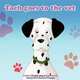 Taeh Goes To The Vet, Wendy Healy-Hindmarch 