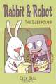 Rabbit and Robot: The Sleepover, Cece Bell 