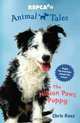 The Million Paws Puppy (Animal Tales), Chris Kunz 