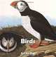 Birds (Art for Kids Collection), Parkstone Press 