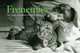 Frenemies: Cats, Dogs, and Lessons in Getting Along, Montaquila Christine 