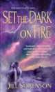 Set the Dark on Fire, Jill Sorenson 