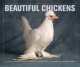 Beautiful chickens, Christie Aschwanden, Andrew Perris 