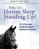 Why Do Horses Sleep Standing Up?, Marty Becker 