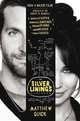 The Silver Linings Playbook, Quick Matthew 