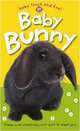 Baby Bunny, Priddy Roger 