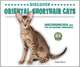 Discover Oriental Shorthair Cats: Discover Cats with the Cat Fanciers