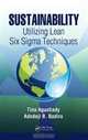 Sustainability: Utilizing Lean Six Sigma Techniques (Industrial Innovation Series), Tina Agustiady, Adedeji B. Badiru 