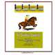 Simple Equine Training System: For Cowboys, Cowgirls and the Western Dressage Horses they Ride, Marsha Heiden PhD 