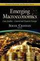 Emerging Macroeconomics Case Studies: Central and Eastern Europe, 