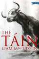 The Tain: Ireland