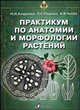 Практикум по анатомии и морфологии растений, Андреева И.И., Родман Л.С., Чичёв А.В. 