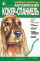 Английский кокер-спаниель, Наталья Шелегова 