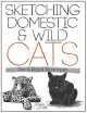 Sketching Domestic and Wild Cats. Pen and Pencil Techniques, Frank J. Lohan 