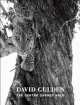The Centre Cannot Hold, David Gulden 