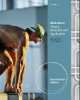 ISE Motivation. Theory, Researchand Applications, John M. Govern 