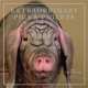 Календарь 2013 (на скрепке). Extraordinary Pigs, Stephen Green-Armytage 