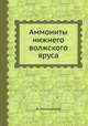 Аммониты нижнего волжского яруса, А. Михальский 